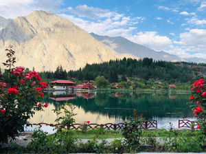 Meet your Posher, Muhammad